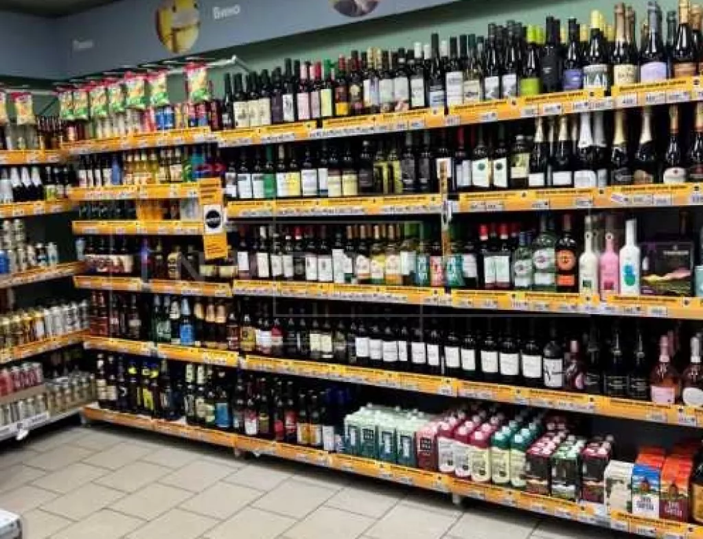 Ногинский район, д. Авдотьино, Центральная ул., 29А