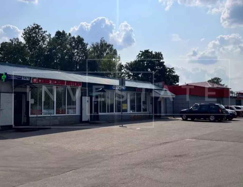 Московская обл, г Щёлково, село Трубино, ул Фабричная, д 54/1