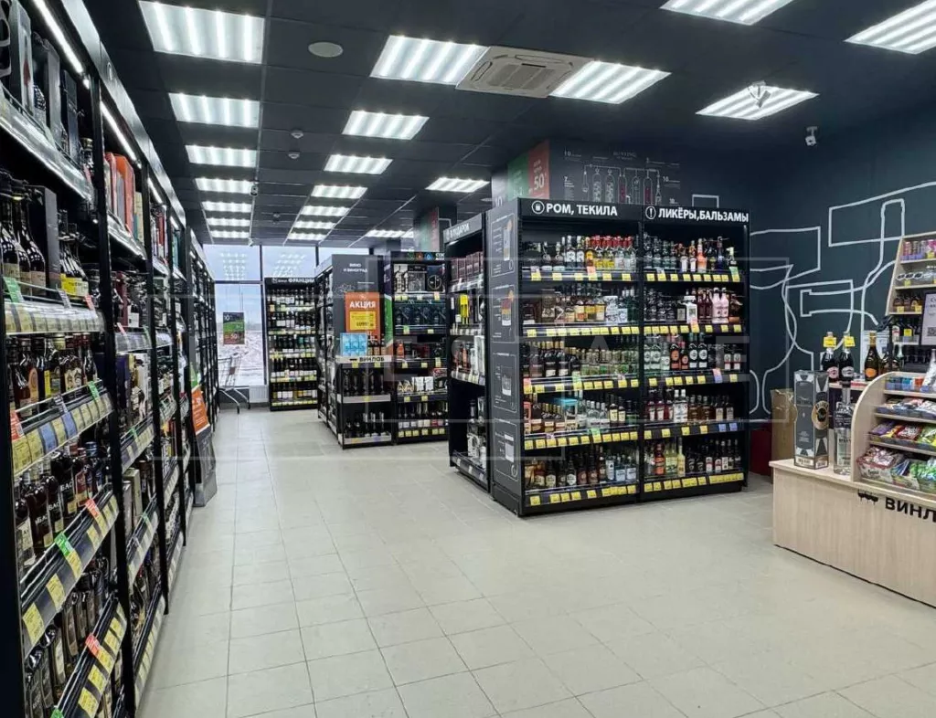 МО, г. Домодедово, Современников ул., 2