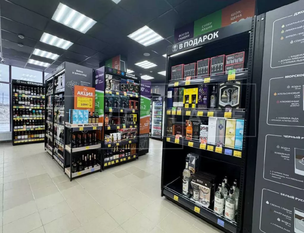 МО, г. Домодедово, Современников ул., 2