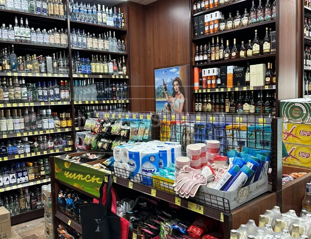 арендный бизнес Шарапово, Московская обл., Аэростатная, д.12 в , метро  Шарапово, Московская обл., Аэростатная, д.12