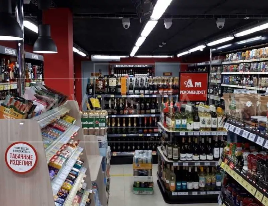 арендный бизнес г Москва, Елецкая ул., 13 в ЮАО, метро Зябликово г Москва, Елецкая ул., 13