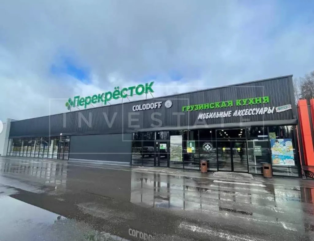 г. Истра, д. Холщёвики, 3В