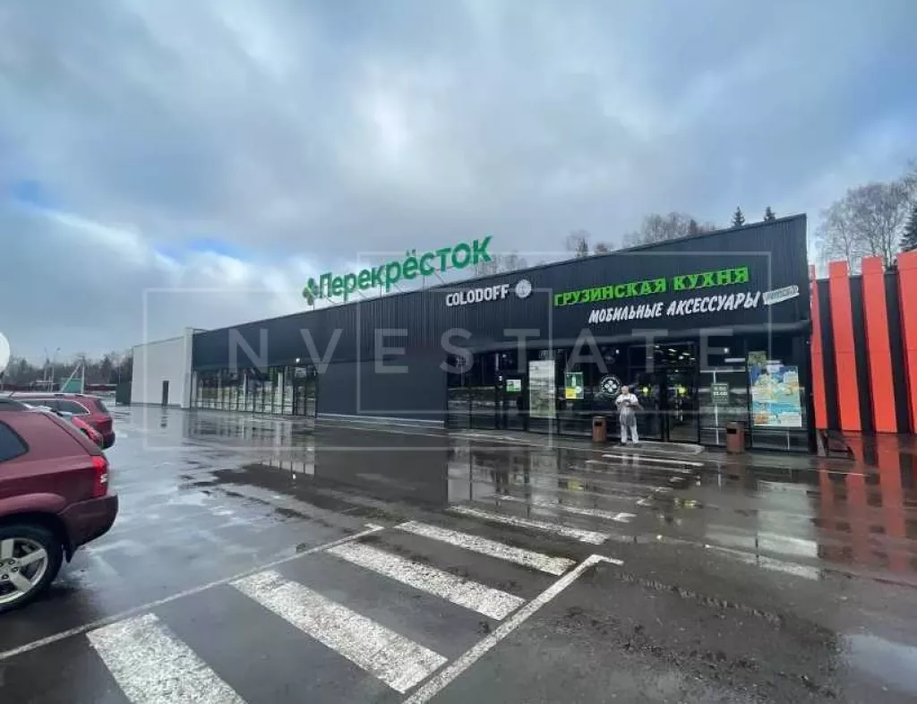 г. Истра, д. Холщёвики, 3В