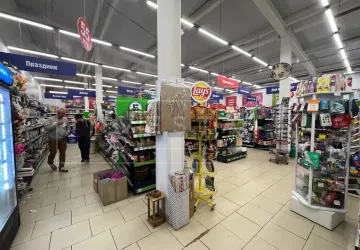 Московская область, г. Подольск, Плещеевская ул., 50А