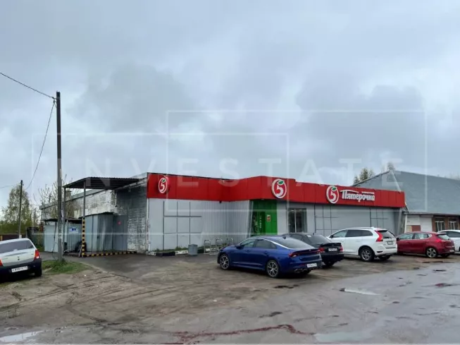 Ногинский район, д. Авдотьино, Центральная ул., 29А