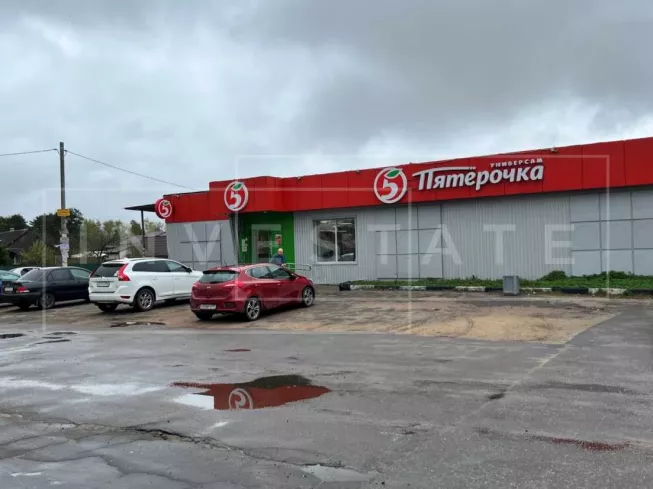 Ногинский район, д. Авдотьино, Центральная ул., 29А