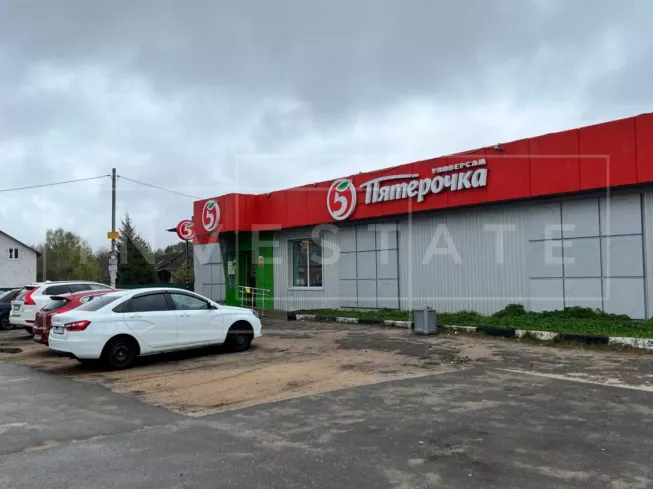 Ногинский район, д. Авдотьино, Центральная ул., 29А