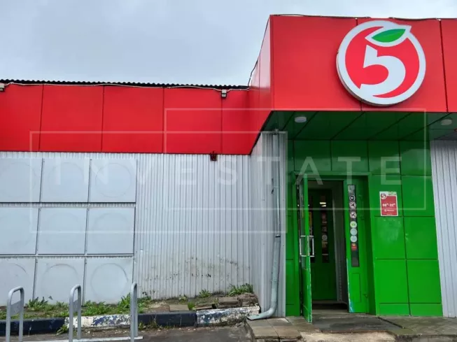 Ногинский район, д. Авдотьино, Центральная ул., 29А