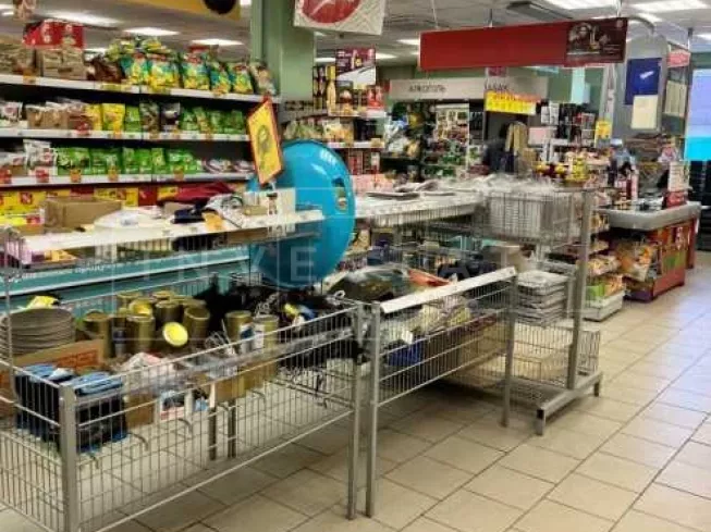 Ногинский район, д. Авдотьино, Центральная ул., 29А