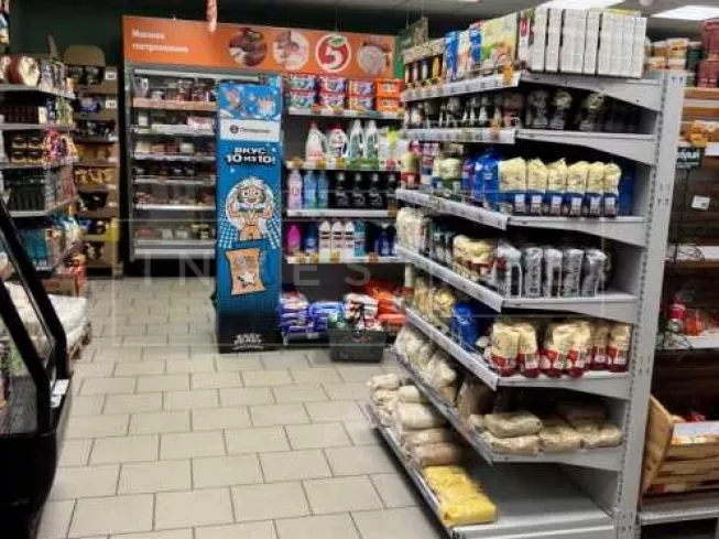 Ногинский район, д. Авдотьино, Центральная ул., 29А