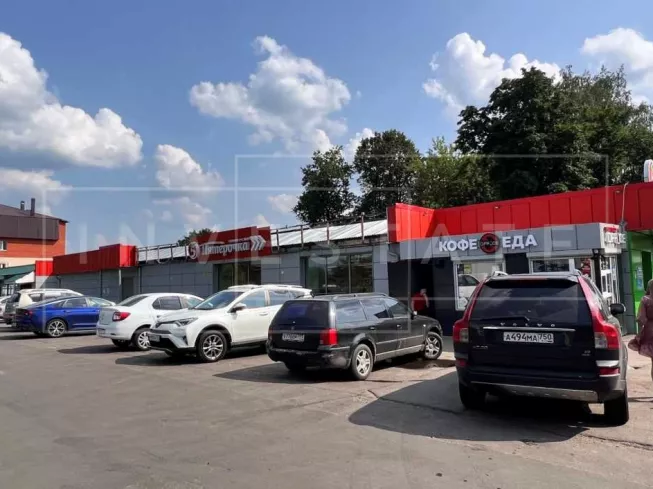 Московская обл, г Щёлково, село Трубино, ул Фабричная, д 54/1