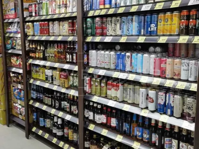 МО, г.о. Кашира, пос. Богатищево, Новая ул., 15