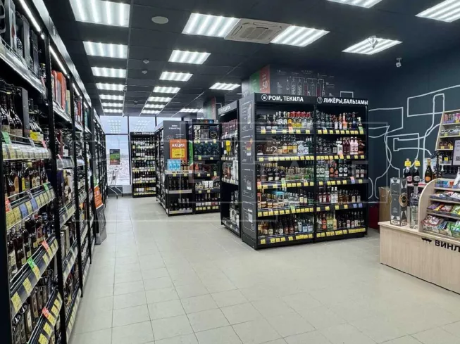 МО, г. Домодедово, Современников ул., 2