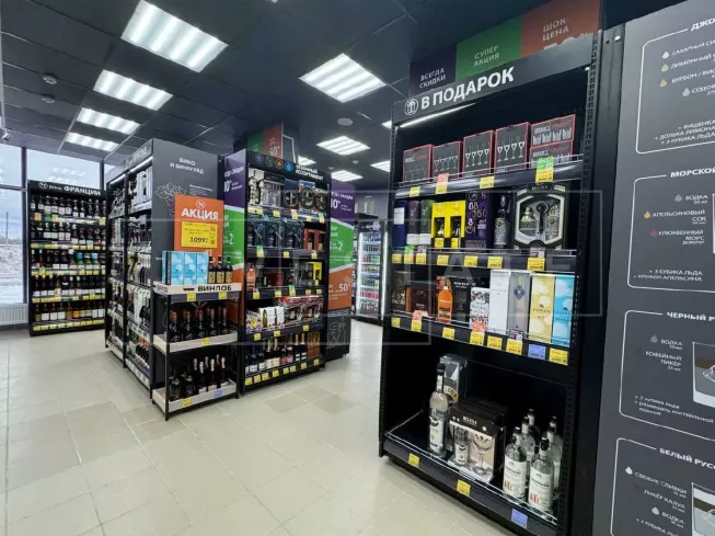 МО, г. Домодедово, Современников ул., 2