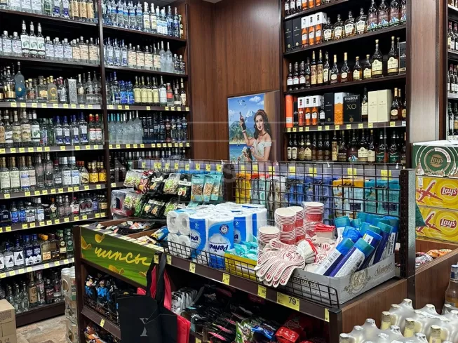 арендный бизнес Шарапово, Московская обл., Аэростатная, д.12 в , метро  Шарапово, Московская обл., Аэростатная, д.12