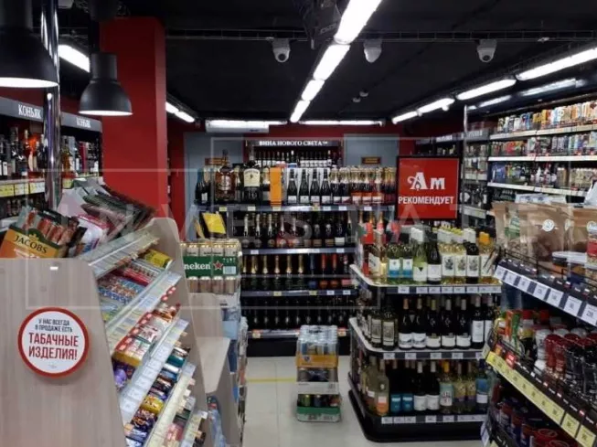 арендный бизнес г Москва, Елецкая ул., 13 в ЮАО, метро Зябликово г Москва, Елецкая ул., 13